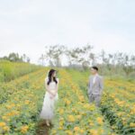 _GIO95581-min